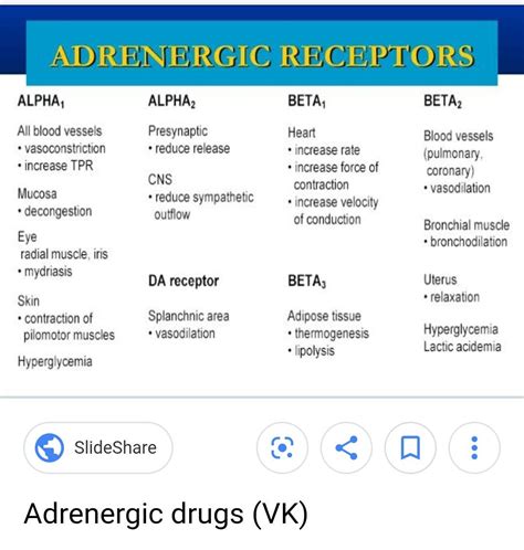 Action Of Adrenergic Receptor Mainly Alpha 1 Which Is Post Junctional And H Autonomic