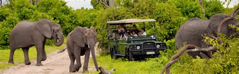 Tanzania Safari Trips Tanzania Wildlife Safaris Tanzania Safaris Tours