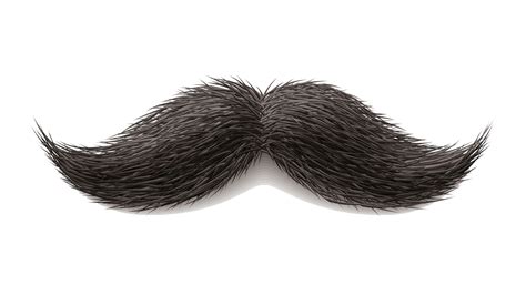 Realistic Mustache Png