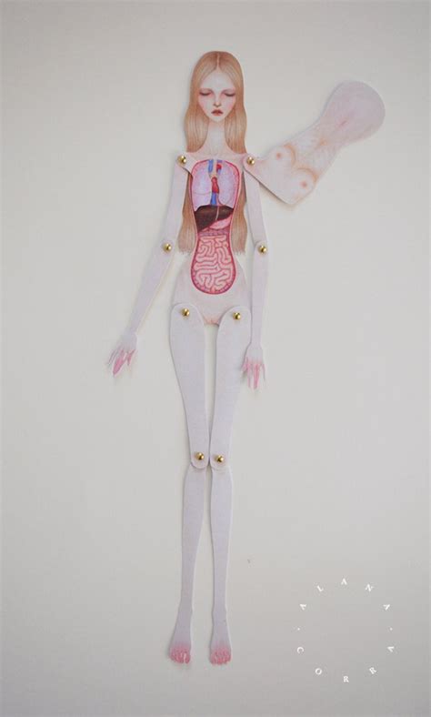 Lift The Flap Anatomy Paper Doll Human Viscera Etsy Denmark