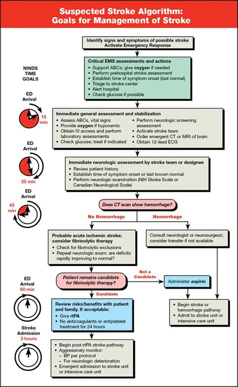 American Heart Association Bls Poster Suspected Stroke Algorithm Card