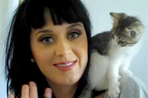 45 Amazing Pictures Of Celebrities And Cats Celebrities With Cats