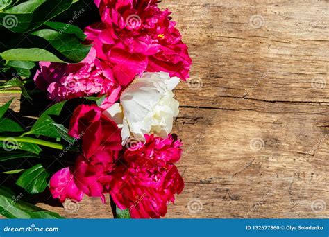 Beautiful Peony Flowers On Rustic Wooden Background Stock Photo Image