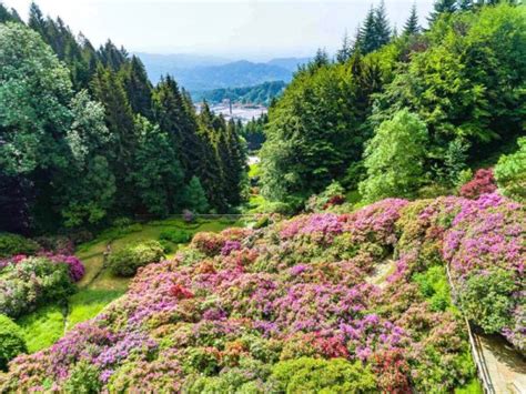 Oasi Zegna Cosa Vedere Lungo La Panoramica Zegna