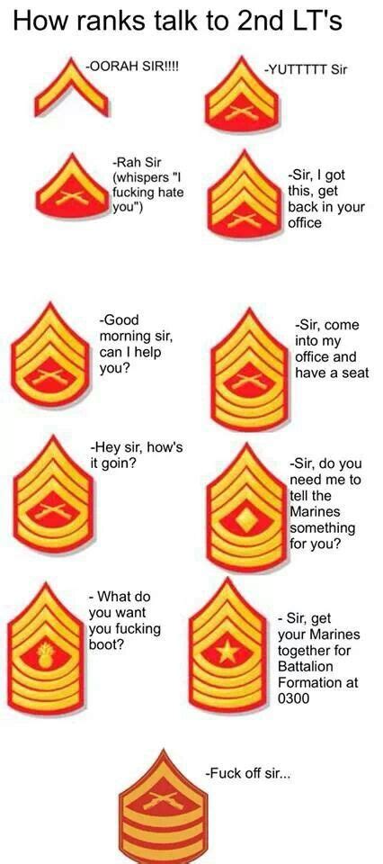 Ranks In The Military On Pinterest Military Ranks Army Ranks In The