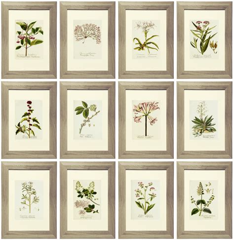 Lavender Gallery Wall Art2 Botanical Printables Botanical Prints