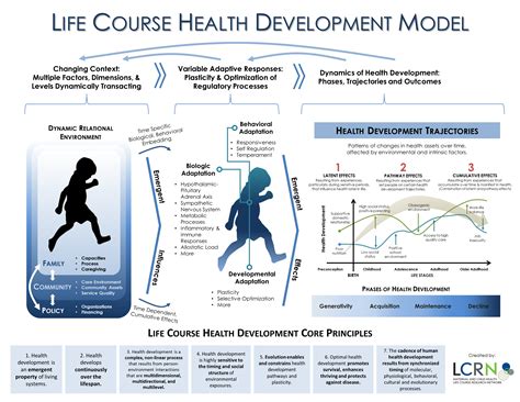 The Life Course Health Development Model Life Course Research Network