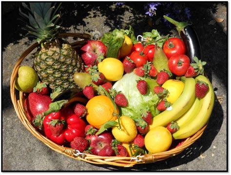 Bicicletta con bisacce e cesto da picnic con frutta fresca, formaggi, salumi e pane sparsi sul prato verde in un lussureggiante parco verde. cesto frutta | Area Comunicazione