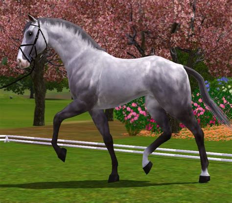 Sims 3 Horse Breeds Isf Green Horse And Rider Classic I At Equus Sims