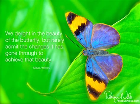 Spiritual Quotes With Butterfly Quotesgram