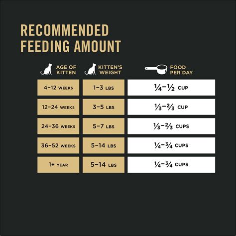 How Much To Feed A Kitten The Ultimate Guide To Cat Food Portions