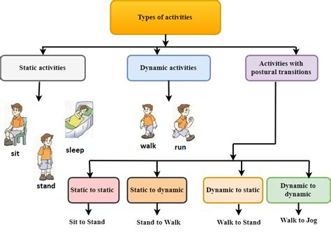 Different Types Of Daily Human Activities Download Scientific Diagram
