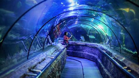 Visit The Best Zoo And Aquariums In Jakarta Flokq Blog