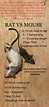 Rat vs Mouse: Pictures - Size, Poop, Behavior -How to tell difference ...