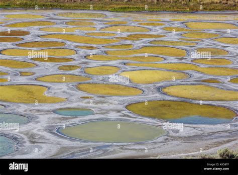 Spotted Lake In British Columbia Canada Stock Photo Alamy