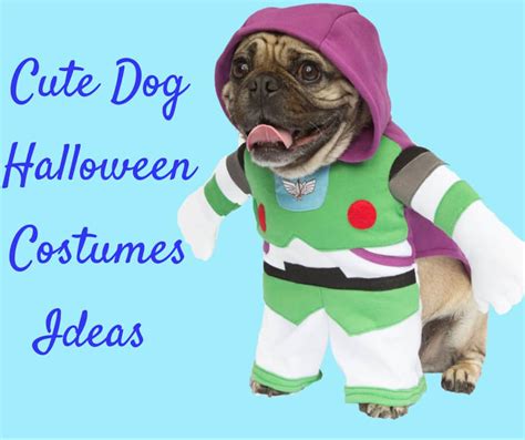 Cute Dog Halloween Costumes Trionds