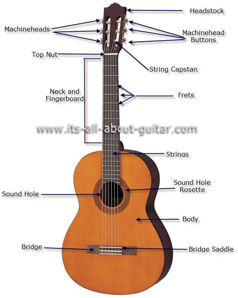 2 acoustic guitar parts diagram. String A Guitar
