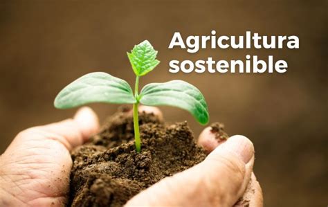 Acciones Para Una Agricultura Sostenible Secretar A De Agricultura Y