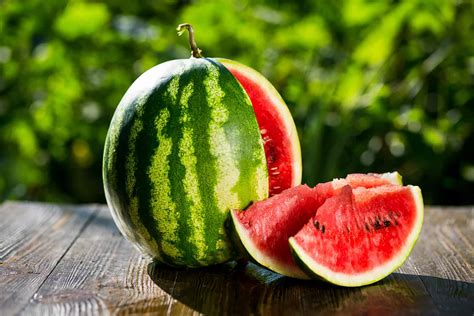 Male And Female Watermelon Differences And Features