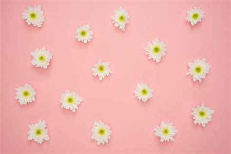 200 White Flowers Background S