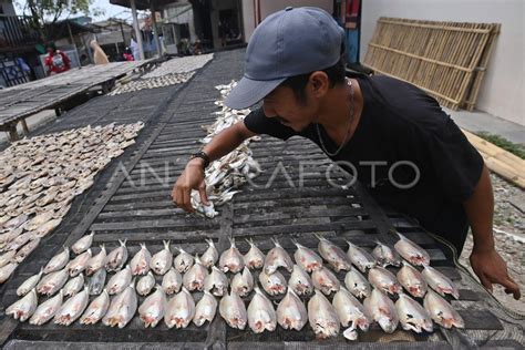 PRODUKSI IKAN ASIN KAMAL MUARA JAKARTA ANTARA Foto