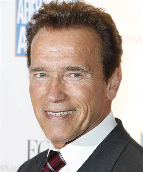 What Color Is Arnold Schwarzeneggers Hair