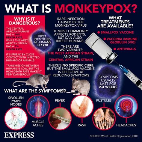 Monkeypox Pustules May Appear Before Any Other Symptoms Uk
