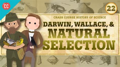 Darwin And Natural Selection Crash Course History Of Science 22 Youtube
