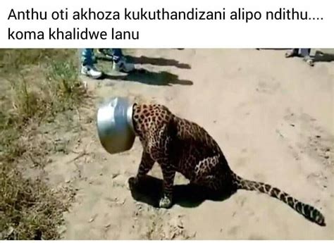Nkhani Za Bengo