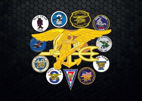 All the SEAL teams. : r/navyseals