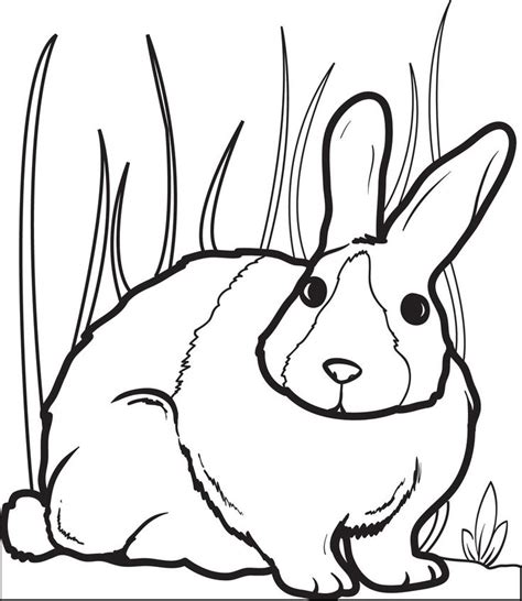 Bunny Rabbit Coloring Page 2 Animal Coloring Pages Cartoon Coloring