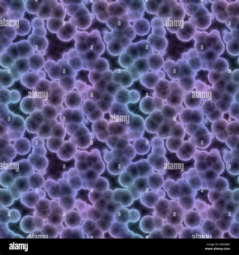 A Large Rendered Image Of Bacteria Or Cells Under A Microscope Stock
