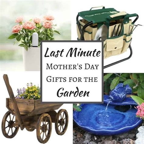 Ftd has the perfect arrangement. 9 Last Minute Mother's Day Gifts for the Garden - The ...