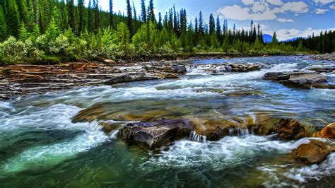 Bighorn River Alberta Gorgeous Stream Place 2560x1440 Hd Wallpaper