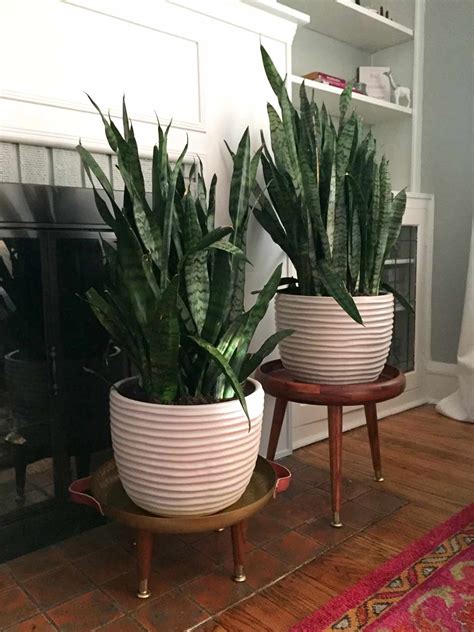 5 out of 5 stars. DIY Mid-Century Plant Stands | And Then We Tried