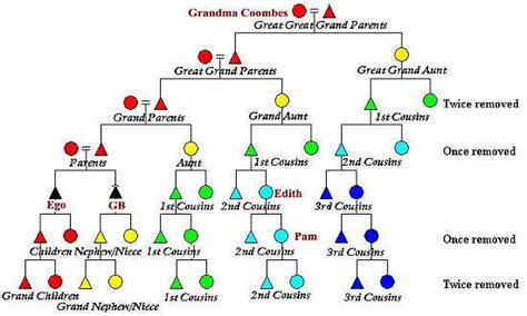 Your child and your cousin's child are second cousins. RAMBLES FROM MY CHAIR: A Proper Sunday Stroll