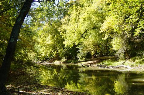 Filetiffin River At Goll Woods State Nature Preserve In Ohio