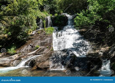 Forest River Waterfall On Springtime Stock Image Image Of Nature