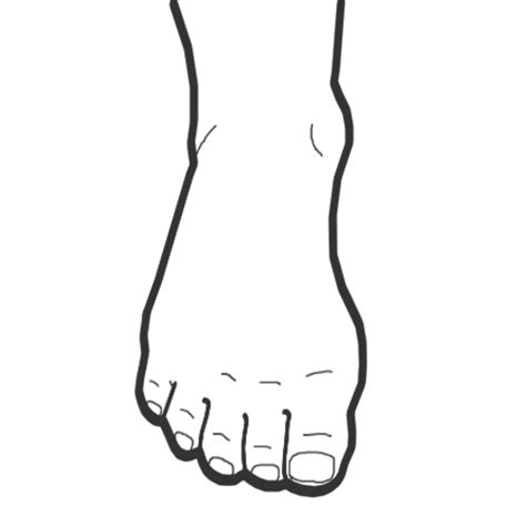 Foot Outline Clipart Best