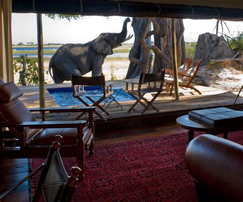 Safari Honeymoons In Southern Africa Africa Odyssey