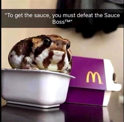 The Best Frog Memes Memedroid