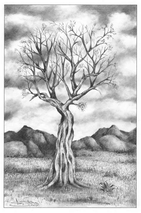 Tree Series No 7 Graphite Pencil On Paper 2017 Artist Dion