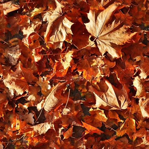 Photo Realistic Seemless Texture Pattern Of Autumn Leaves On A Forest