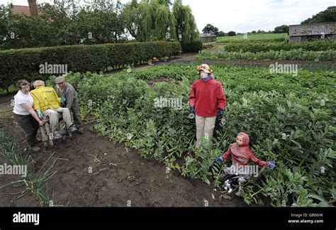 picture scarecrows are dressed in their wet weather clothes by the farmers names not given in