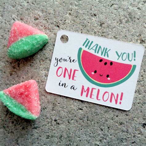 Watermelon Thank You Tags Youre One In A Melon Thank You Etsy
