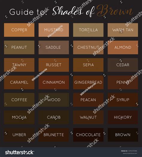 Shades Brown Vector Brown Color Palette Stock Vector Royalty Free Shutterstock