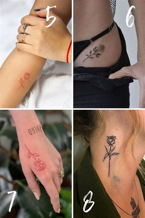 June Birth Flower Tattoos {the Rose} Tattoo Glee