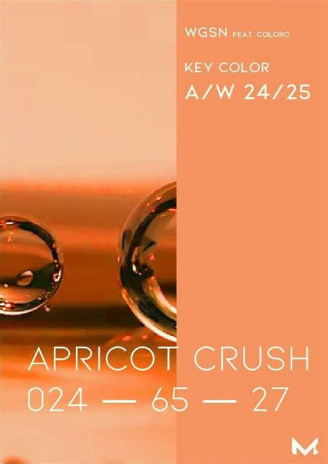 Apricot Crush Pantone Color Of The Year Color Trends Fashion Pantone Trends Color