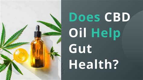 Cbd Oil For Anxiety Pain And Gut Health Comprehensive Guide