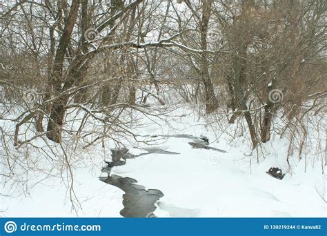 Winter Frozen Small River Stock Photo Image Of Water 130219244